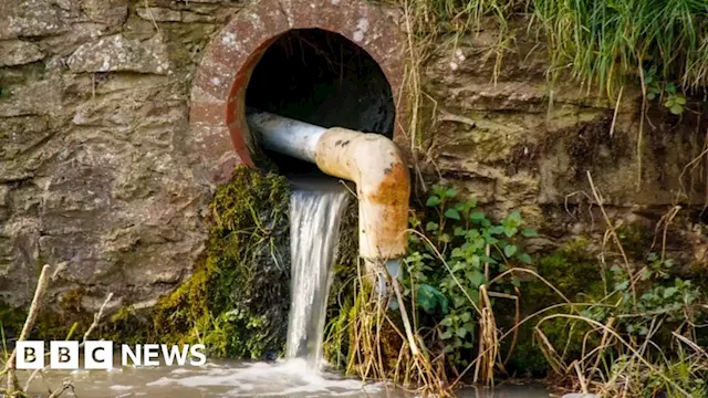 Unlimited fines for water companies dumping sewage