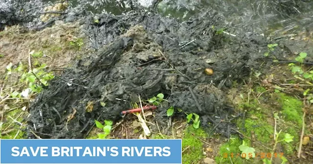 Water companies who break rules to dump raw sewage could face 'unlimited' fines under new plan