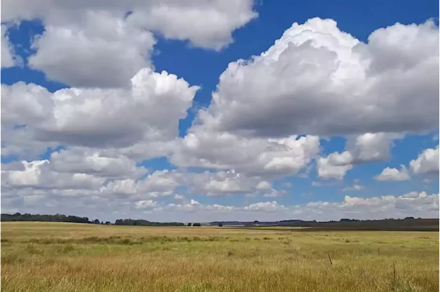 SA's latest internationally important wetland is home to a rare bird species | Business