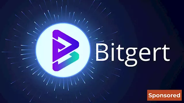 Bitgert Ventures Investment Team Launched by Investors of Bitgert