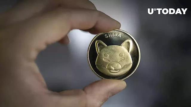 Shiba Inu (SHIB) Overtakes BUSD Market Cap, Eyes LTC Next