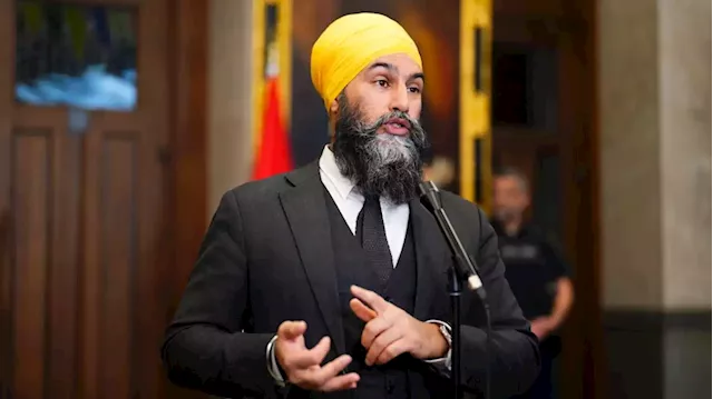 Singh hopes to tax companies where CEOs make 'excessive profits,' in bid to reduce inequality