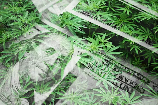 Cannabis Stocks For 2023: What You Need To Know