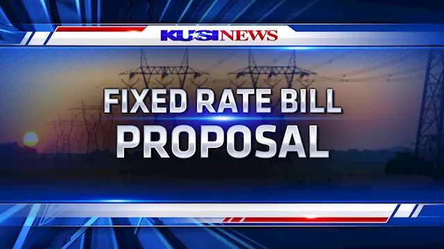 California utility companies fixed-rate delivery proposal faces backlash from customers -