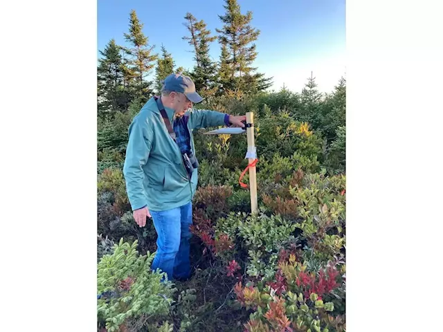 Former consultant to wind industry warns of turbines' toll on migrant birds in N.S.