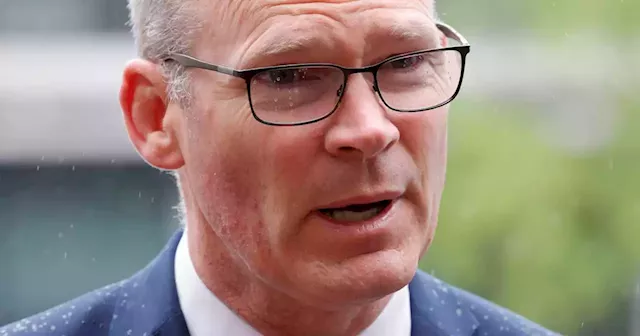 State’s relationship with multinational companies has ‘never been stronger’, Coveney says