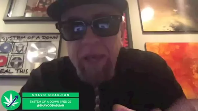 Shavo Odadjian of System of a Down talks cannabis company 22Red