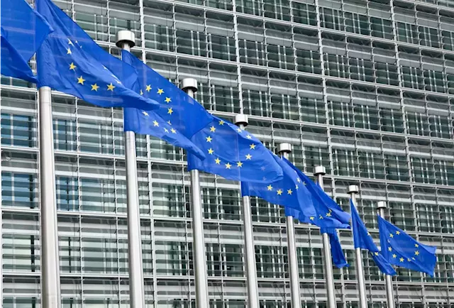 European Commission Targets Fashion Companies in Antitrust Investigations