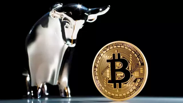 Bitcoin outlook: Crypto may be in a bull market now, but investors should still tread carefully