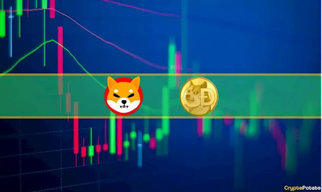 Memecoin Market Watch: Dogecoin Skyrockets 9%, Shiba Inu Up 5%