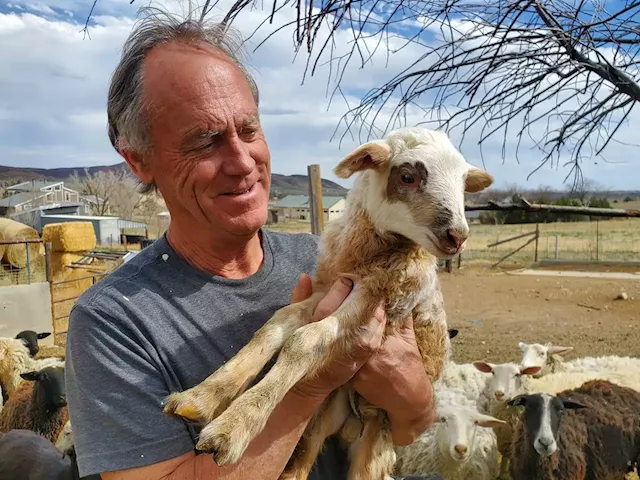 Former Restaurateur Goes to the Goats (and Cows and Sheep) With New Cheese Company