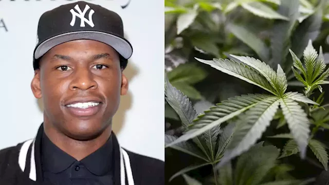 Watch: Growing Green: A Cannabis Industry Conversation With Al Harrington