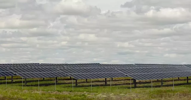 Solar and wind companies are coming to rural Texas. These residents are trying to keep them out.