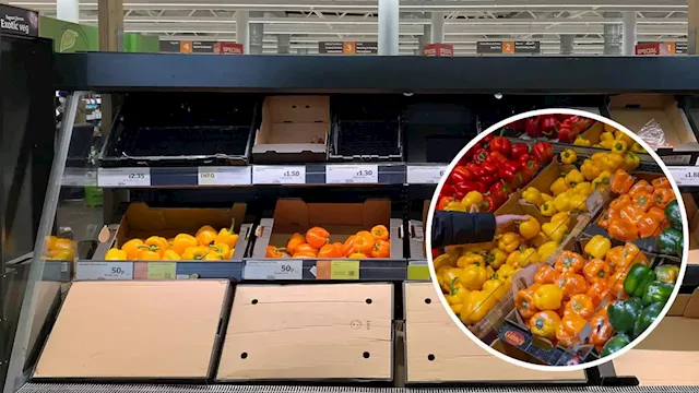 Supermarkets impose limits on peppers as stocks run low - sparking fresh veg shortage fears