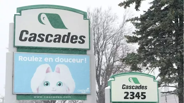 Cascades restructuring tissue business in U.S., 300 employees affected - BNN Bloomberg