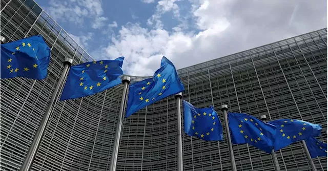 EU lawmakers back human rights, environmental checks for big companies