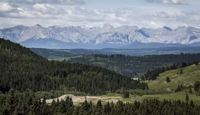 Australian coal company withdraws plan for mine in Alberta foothills