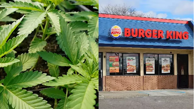 Cannabis company offers to hire all 400+ Burger King workers who were laid off in Michigan