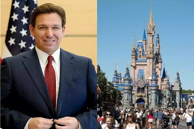 Disney sues Florida's DeSantis over 'campaign' to weaponise government against company