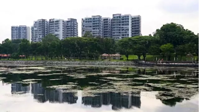 New cooling measures a 'pre-emptive' move to dampen investment demand for residential properties: Desmond Lee