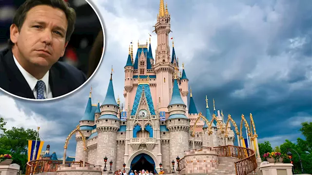 Disney Fans Are Fighting Online in Response to the Company's Lawsuit Against DeSantis