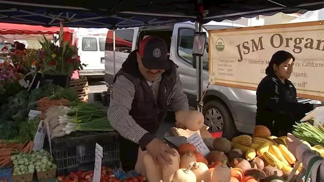 Bay Area farmers' market vendors struggle to recover profits after setbacks from epic winter storms