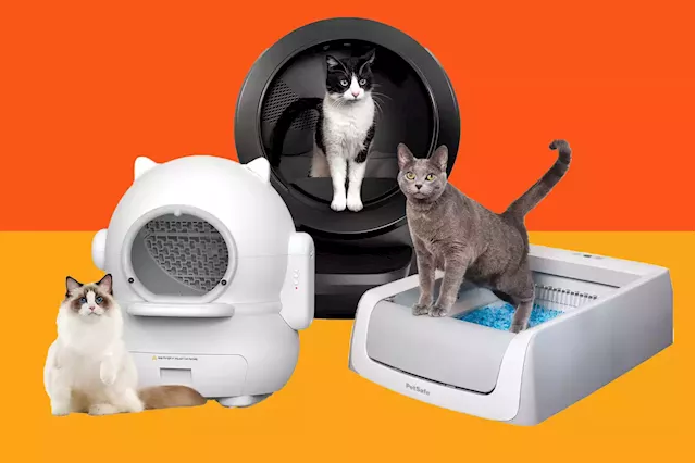 6 best automatic cat litter boxes for cleaning up their business 24/7