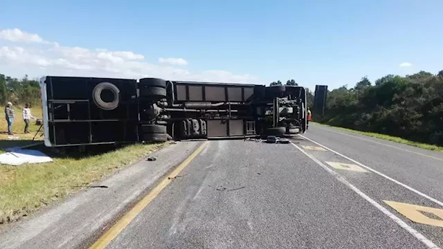 'Our driver is in shock' - Cape Town bus company after deadly N2 bus crash | News24