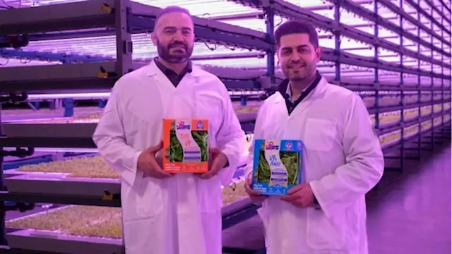 B.C. vertical farming company says it could produce up to 6 million bags of salad greens a year | CBC News