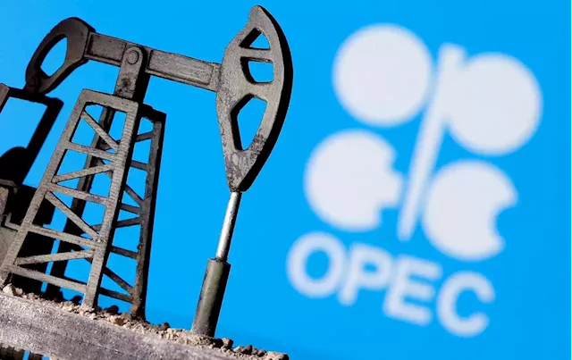 Oil could be headed back to US$100 a barrel this year: Industry experts