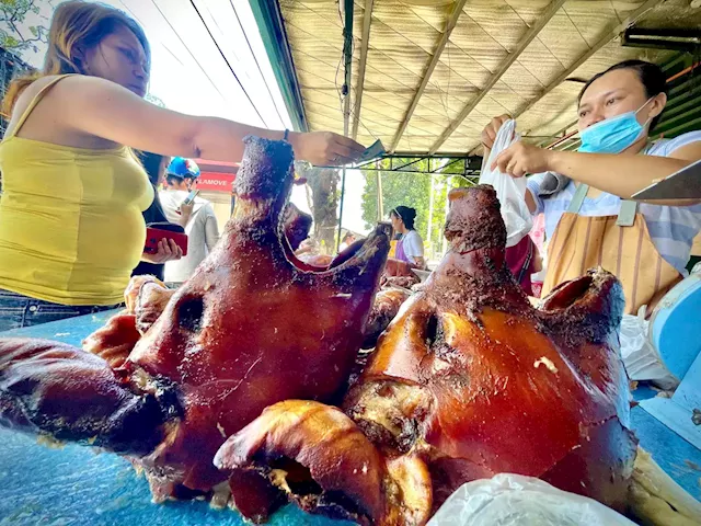 Cebu province to file more graft complaints vs Bureau of Animal Industry