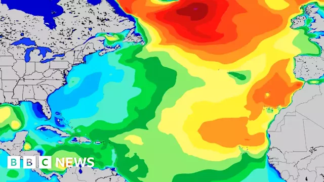 Devon-based surf forecaster Magic Seaweed loses name in merger