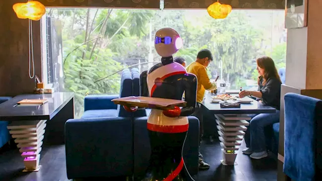 Are robot waiters the future? Some in restaurant industry think so