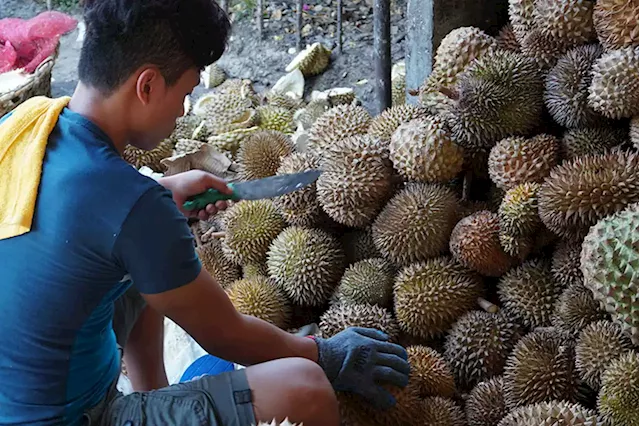 China opens its market to durian from PH