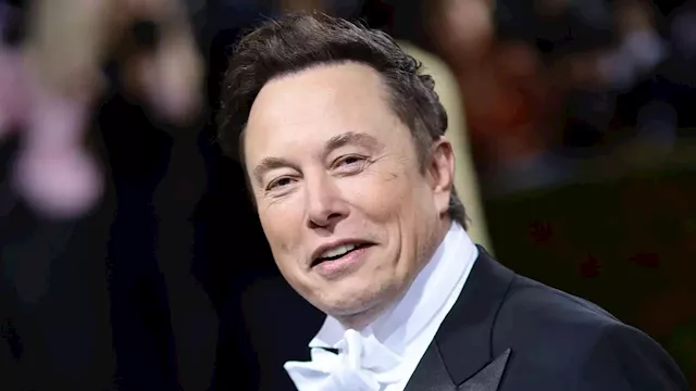 Elon Musk praised by CEO of once-banned company for restoring free speech at Twitter