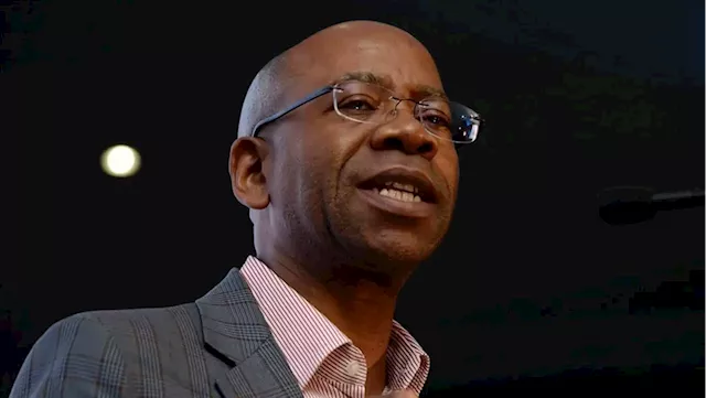 Plundering leaders put SA on path to failed state: ArcelorMittal SA chair Bonang Mohale | Business