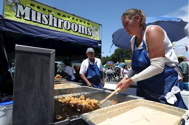 Morgan Hill Mushroom Festival canceled after security company pulled out