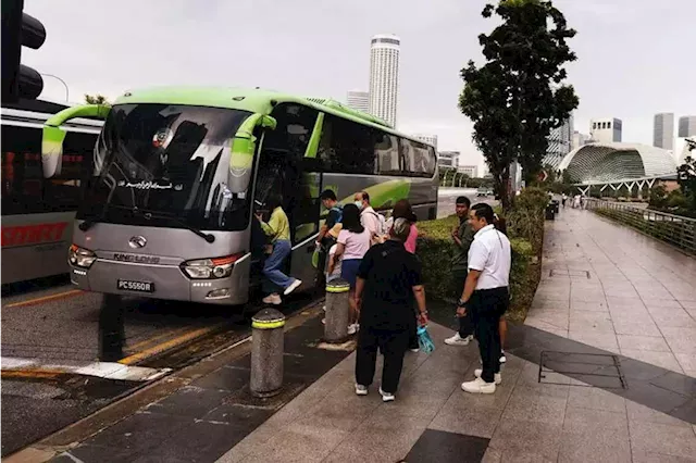 Travel agencies, bus companies in S’pore facing shortage of drivers despite increasing salaries