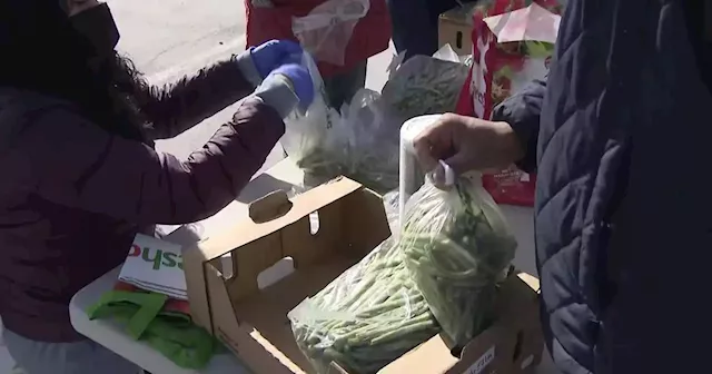 Grassroots Grocery, Hunts Point Produce Market team up to bring fresh fruits and vegetables to families in need this Easter