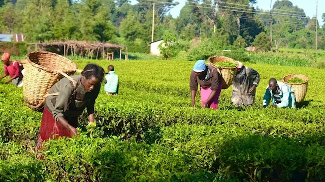 Research Institute trains 250 communities in agric business