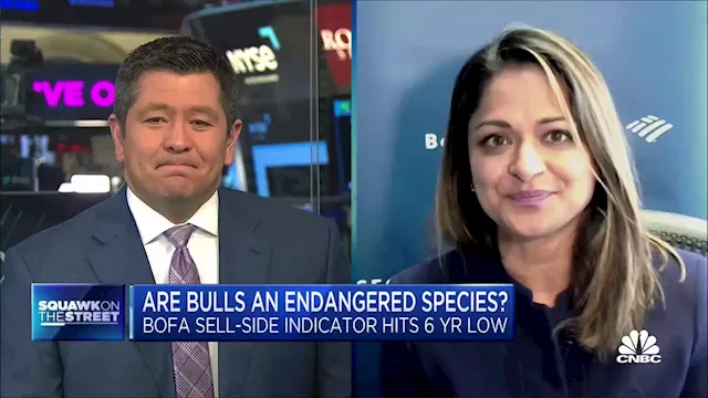 Stock market bulls hard to find amid high rates and banking fallout, says BofA's Subramanian