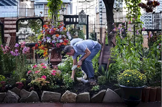 A community garden dismantled by the TCHC + a potential comeback for Ontario’s auto industry