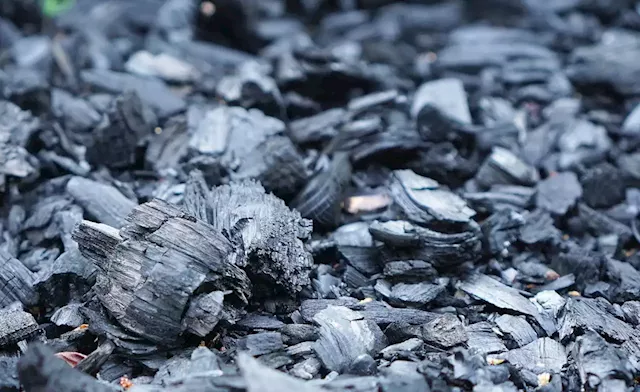 Namibia: Charcoal Industry Urged to Clean Up Its Act