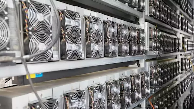 Bitcoin mining stocks rally as network congestion stirs hopes for higher fees ahead