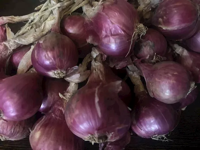 Onion prices will be stable until November —Bureau of Plant Industry