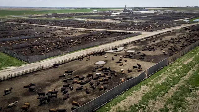 China's ban on Canadian beef still in place year-and-a-half later; industry in dark