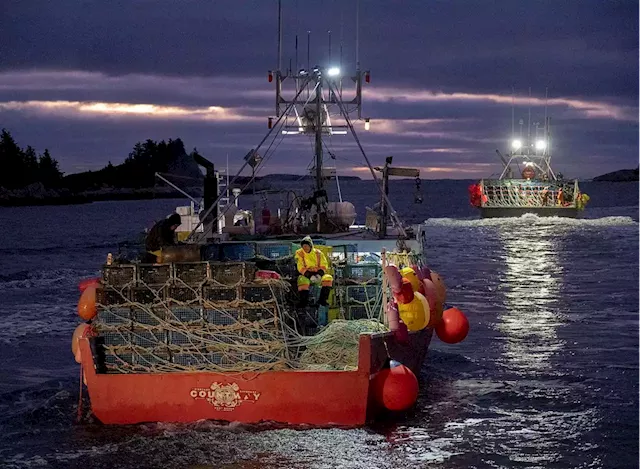 Canada’s lobster industry fears dispute with China could see it move from winner to loser