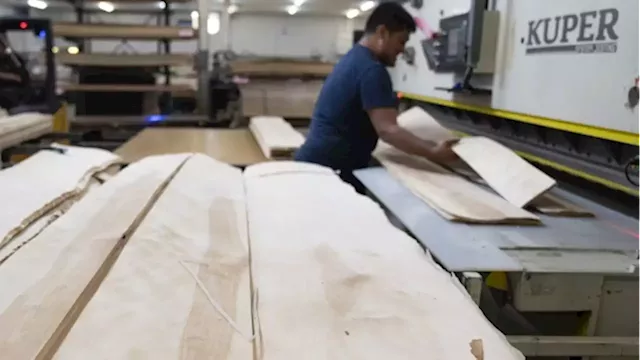 Canadian plywood makers seek duties as cheap Chinese rivals carve out half the market - BNN Bloomberg