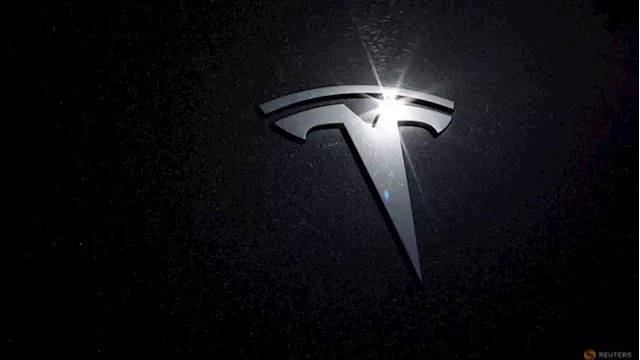 Tesla restarts India market talks with new factory proposal - source