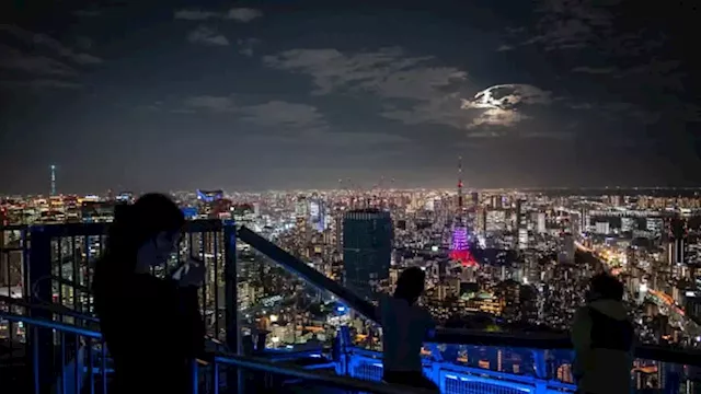 'Foreign investors are back': Japan stocks surge to their highest since 1990